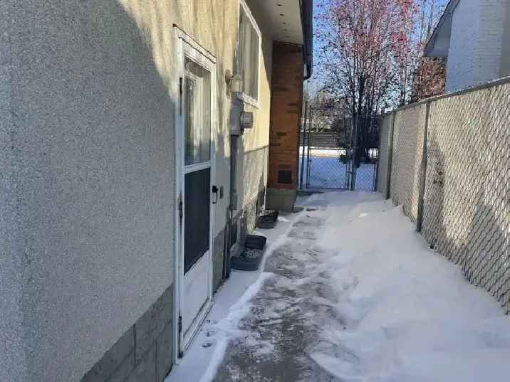 Spacious Basement Suite near University of Alberta
