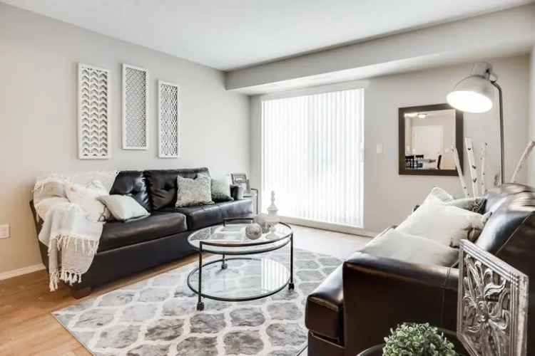 Rent Pet Friendly Apartment in Winnipeg with Modern Features