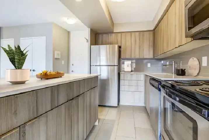 Spacious room for rent