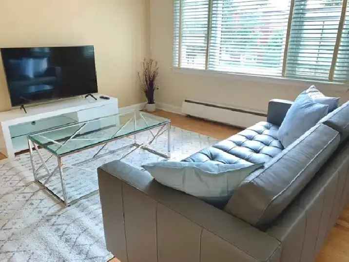 FURNISHED 3-BEDROOM APARTMENT, EVERYTHING INCLUDED – APT 2