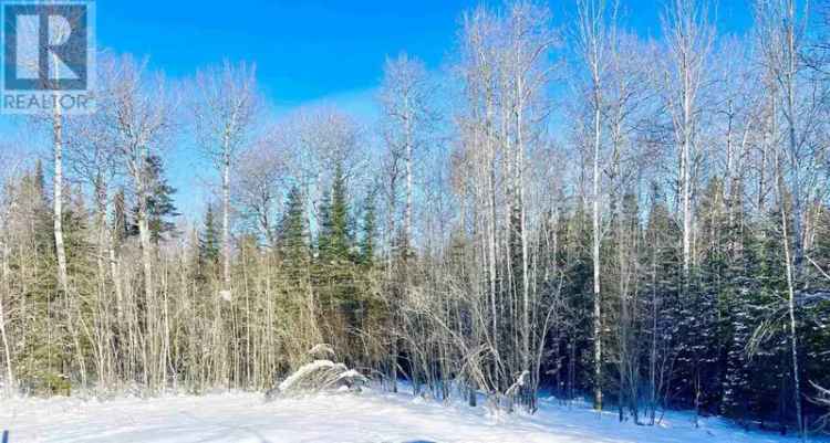 2-Acre Treed Lot near Dryden - Build Your Dream Home