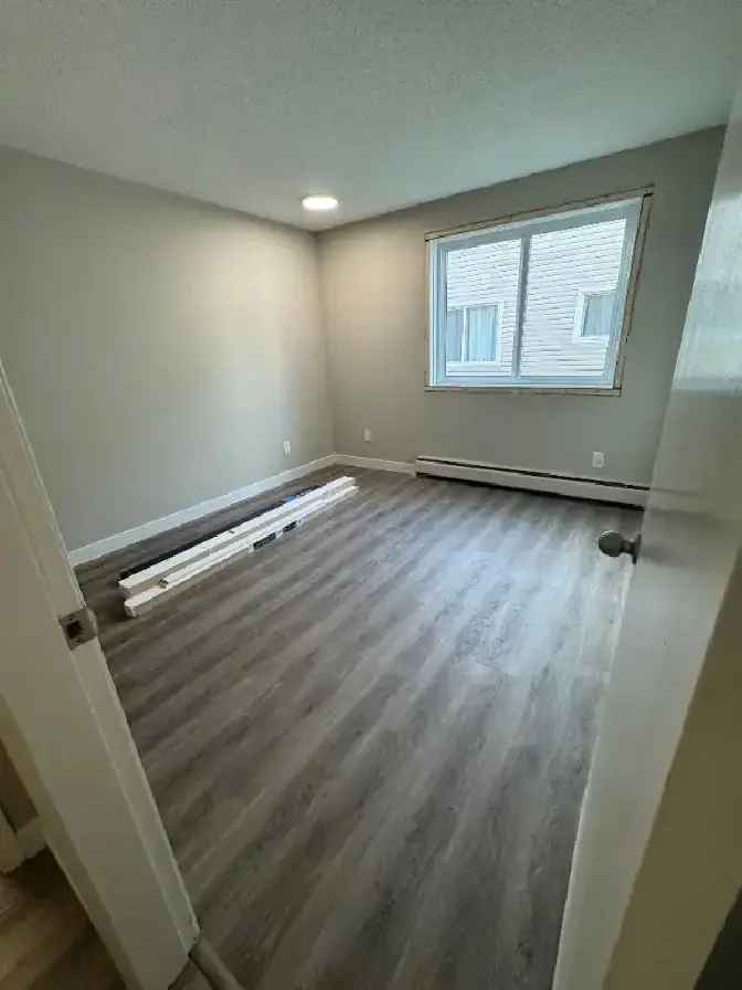 Renovated 1Bed/1Bath Apartment