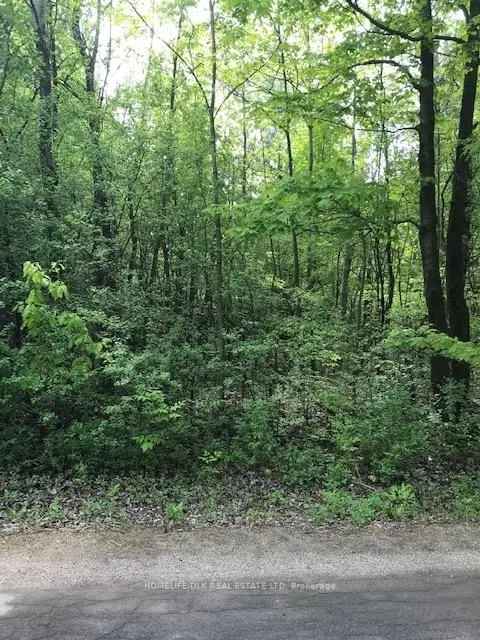Dream Home Lot near Graham Lake - 2.3 Acres