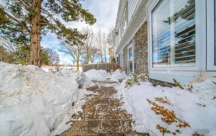 4 1 Bedroom 4 Bathroom House in North Agincourt