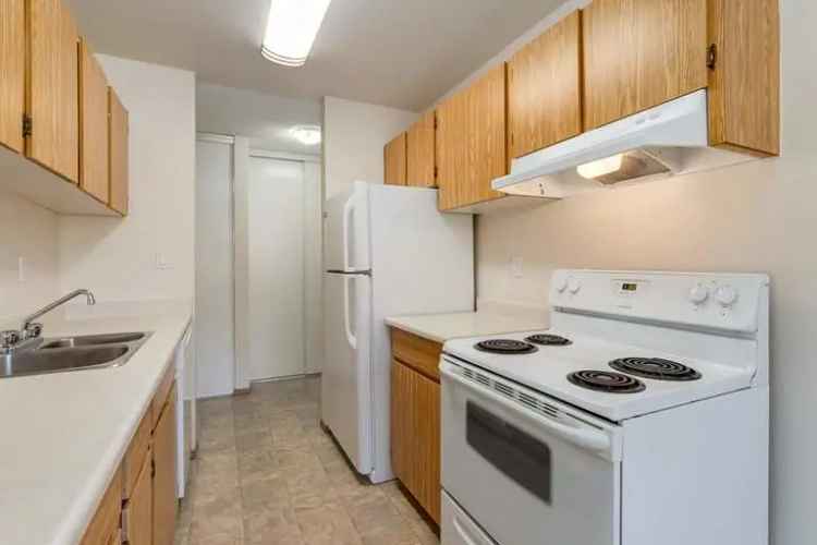 Rent Apartment in Edmonton with Spacious 1 and 2 Bedroom Suites