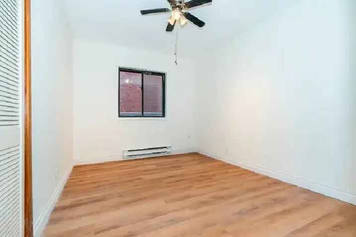 Newly Renovated 3BR Main Just Steps From UofT!  Harbord Village!