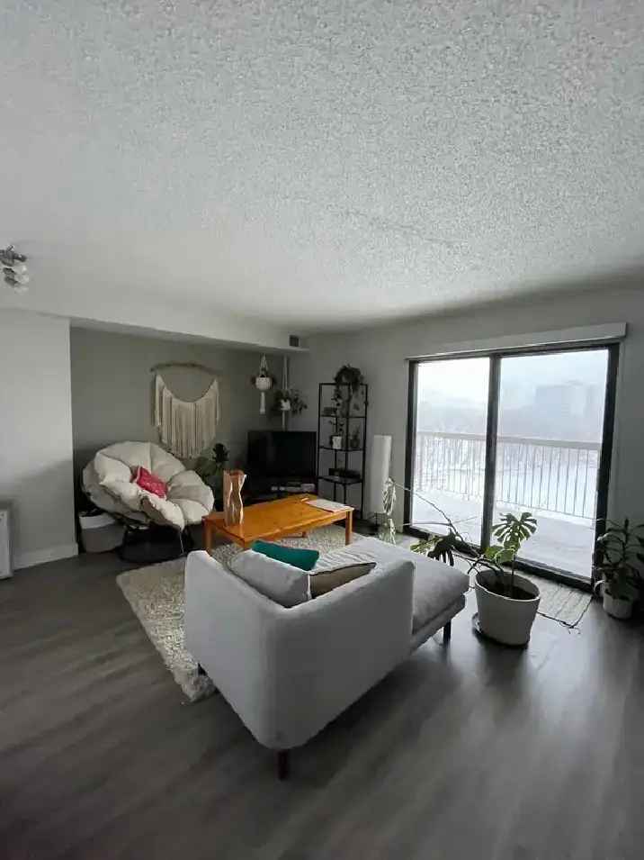 Affordable 1 Bedroom Apartment in Osborne