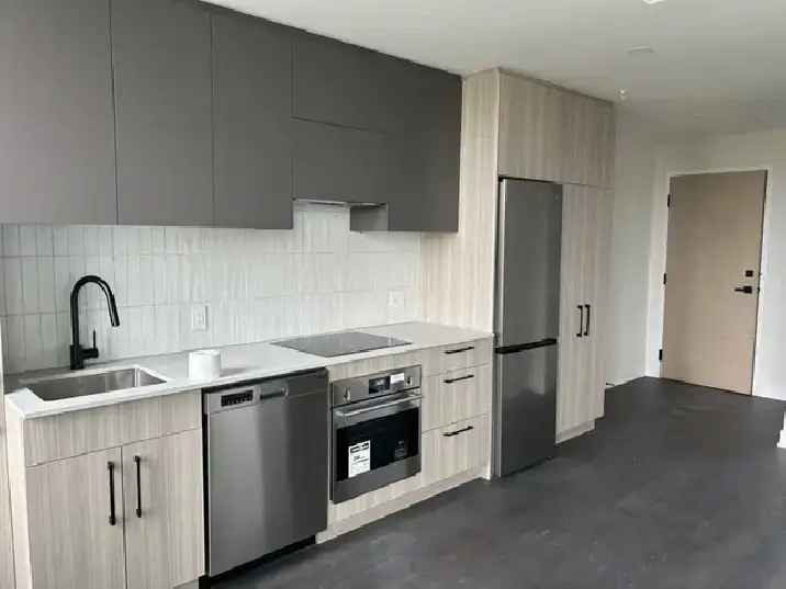 Condo FOR RENT 1390$/month - Mercier/Hochelaga-Maisonneuve