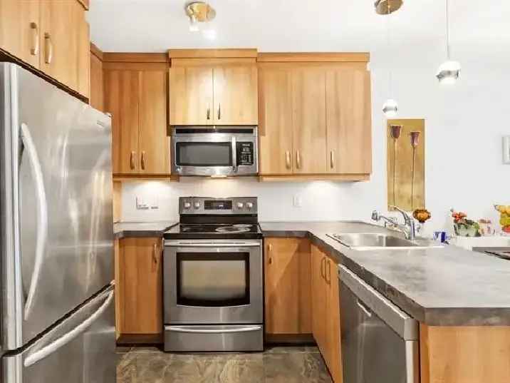 Pet-Friendly Modern Condo with appliances - Pointe Saint-Charles