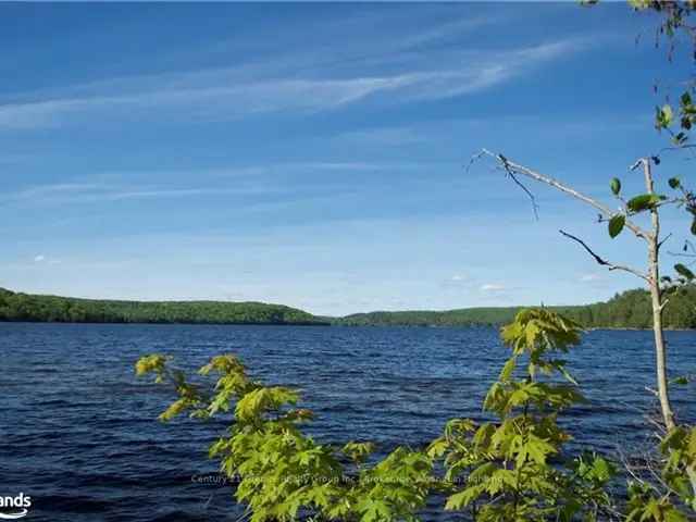 2+ Acre Lot with Septic System Near Sandy Point Beach