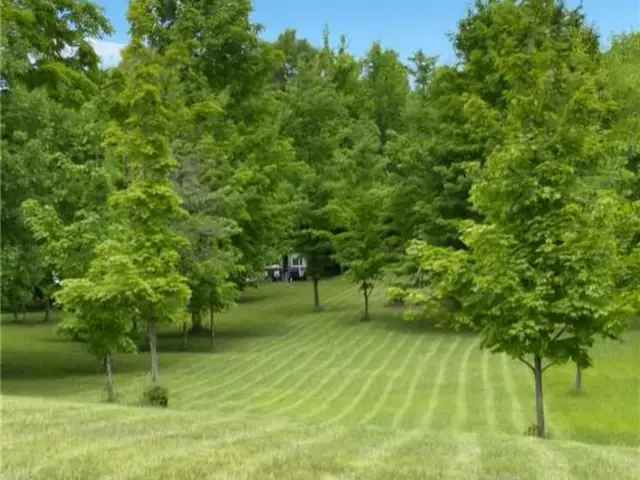 6.5 Acre Building Lot West Grey  Dream Home Animals Allowed