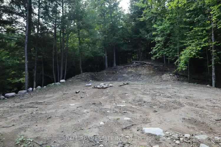 Beautiful 4.42 Acre Building Lot in Ingoldsby - Minutes to Minden Haliburton