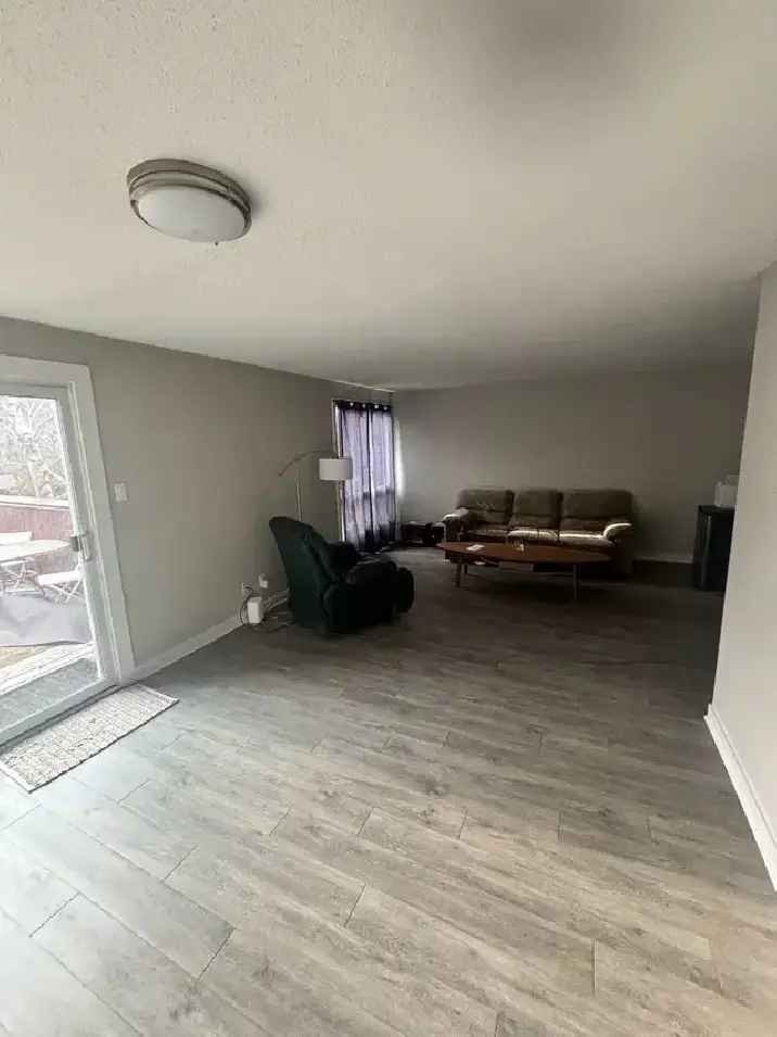 room for rent near Algonquin College