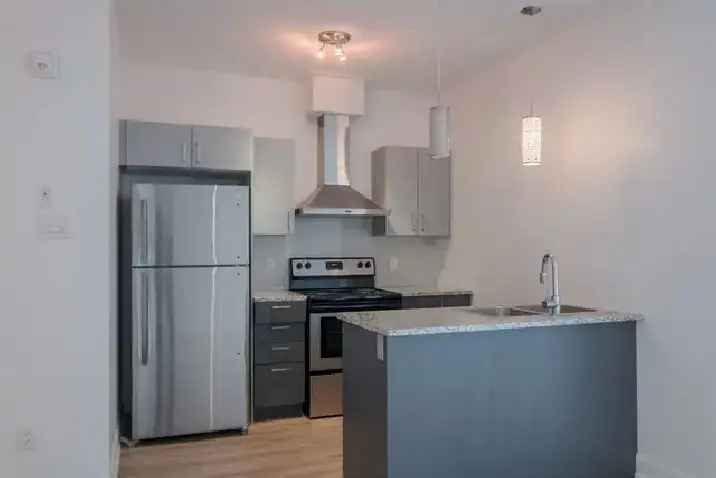 1 Bedroom Apartment Near UdeM - Renovated Suite