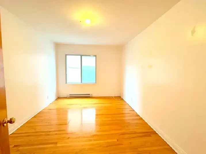 3 1/2 Apartment in Rosemont - Large, Modern, and Impeccable