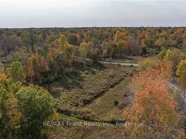 4 Acre Building Lot with Drilled Well and Storage Buildings