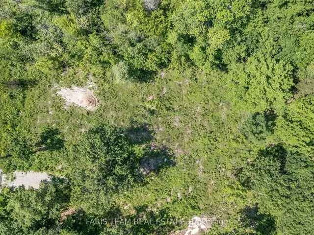 6.57-Acre Lot Ready for Spring Build - VTB Mortgage Available