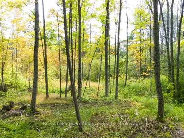 Dream Home Lot Harrowsmith 4 Acres 250 Frontage