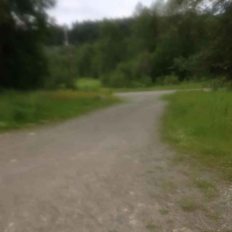 161 Acres Industrial Property with Rail Spur and 4 Houses