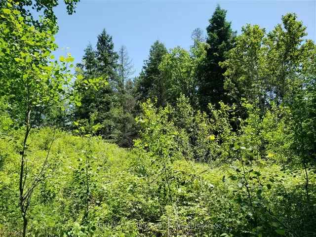 1.62 Acre Riverfront Lot Dream Home Building Site Algonquin Trail Access