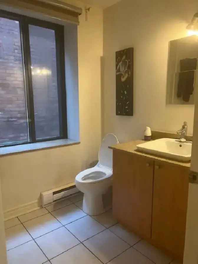 3 1/2 furnished condo for rent at Guy-Concordia