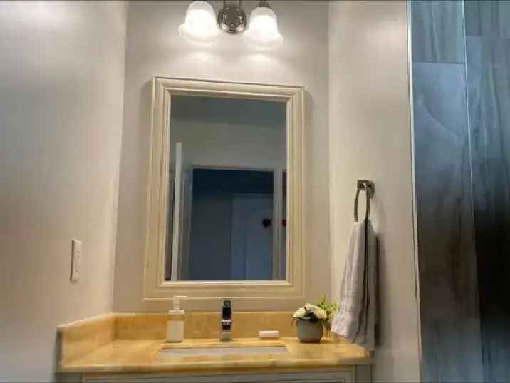 Modern Home with Jacuzzi near Pacific Mall and 24 Hour Amenities