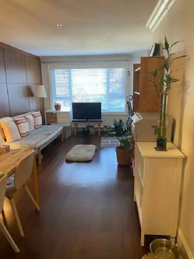 Rent 1 Bedroom Apartment in Richmond with Modern Upgrades and Amenities