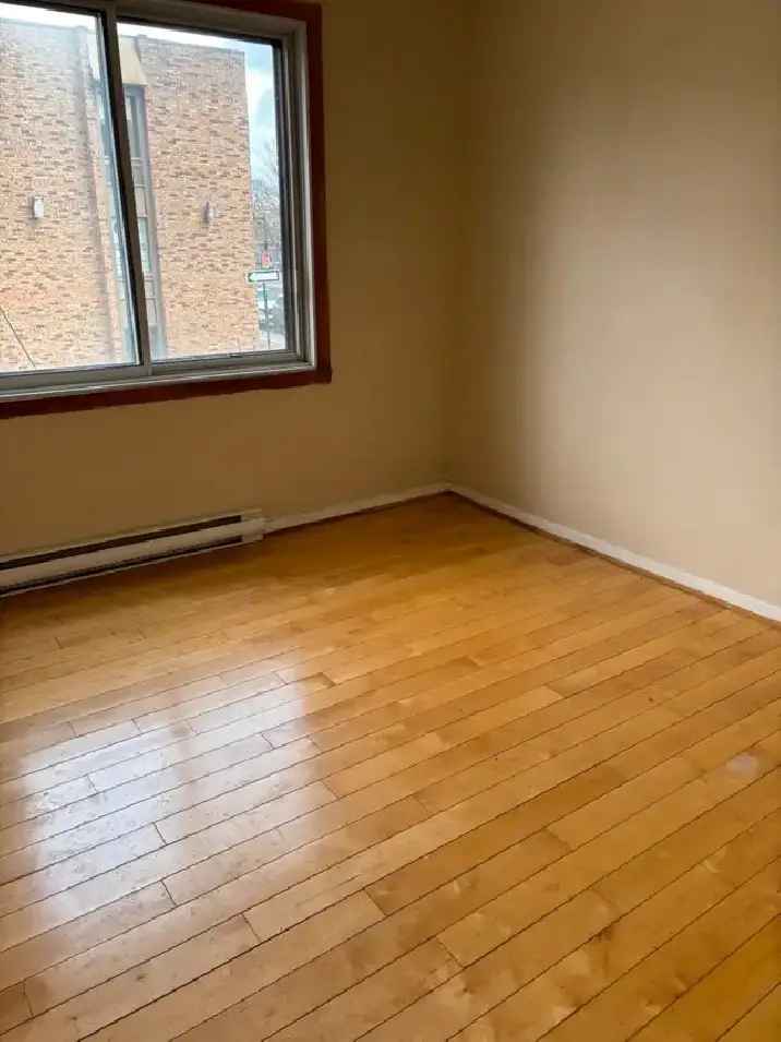 1 Bedroom Apartment for Rent Hardwood Floors In-building Laundry