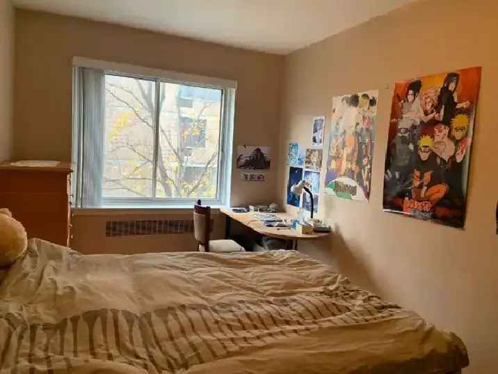 One Bedroom Apartment Fully Furnished McGill Area , Milton Parc