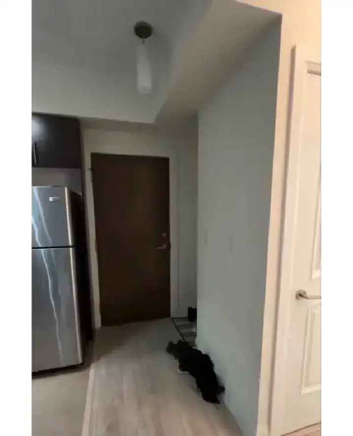 Female roommate downtown condo