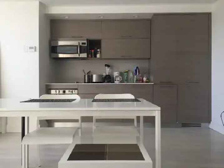 Downtown Montreal Furnished Studio Condo for Rent
