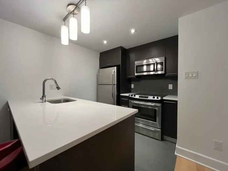 Griffintown Condo 12th Floor Panoramic City Views Furnished